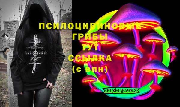 винт Няндома