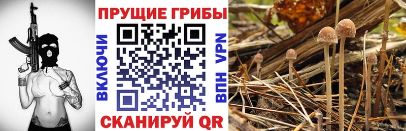 Псилоцибиновые грибы ЛСД  Ивантеевка 